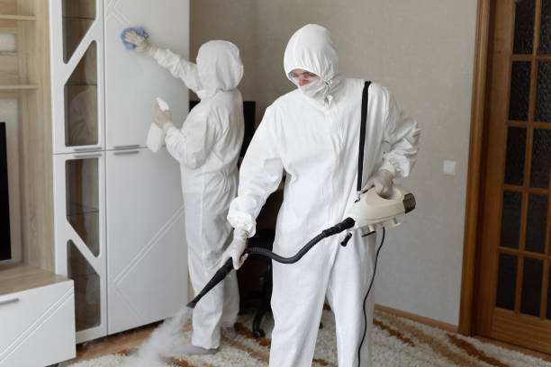 Best Residential Mold Removal  in Arapahoe, WY