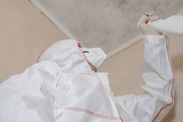 Best Mold Remediation  in Arapahoe, WY